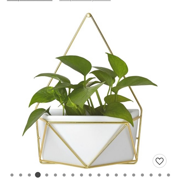 Succulent Wall Geometric Hanging - Picture 5 of 5